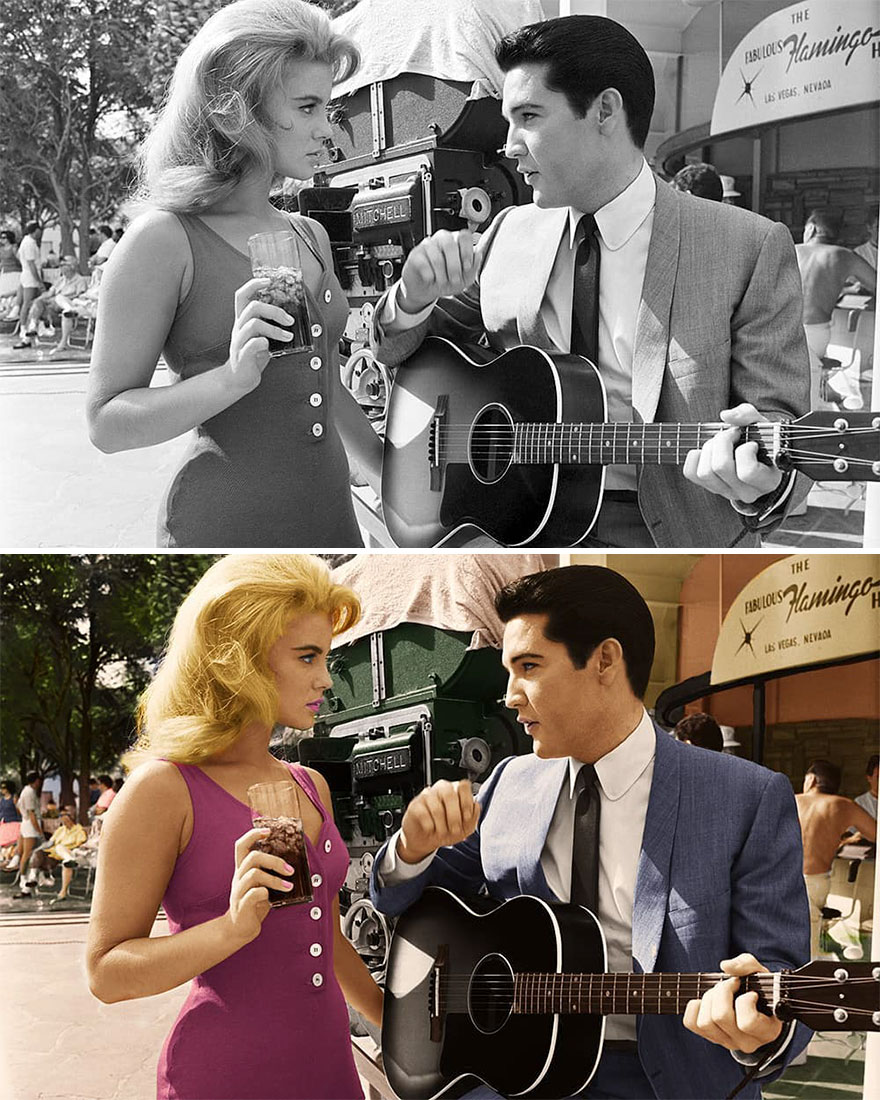 I Make Everything Alive Again