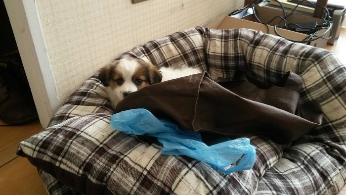 First Day With "Cofi"