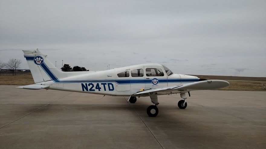 Love At First Flight &ndash; Our True Easter Bunny Blessing