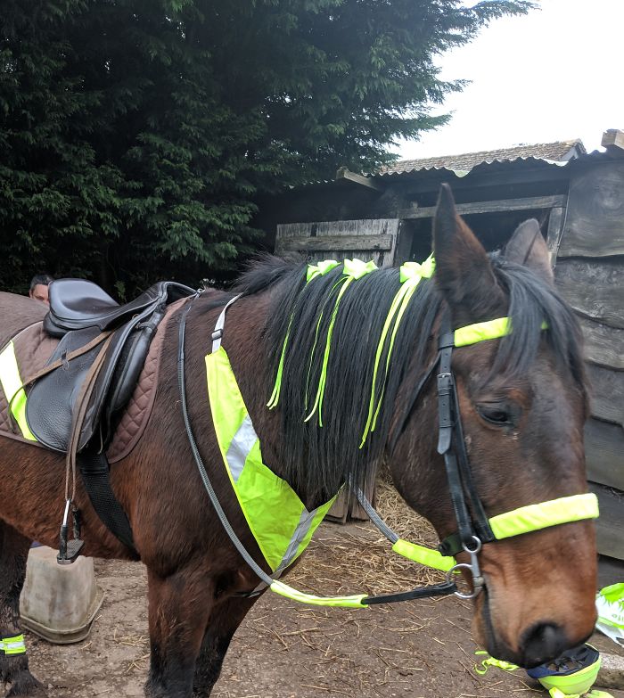 Glue Gun, Neon Ribbon, Neon Fleece. Made It All Apart From The Chest Plate And The Boots On His Hind Legs