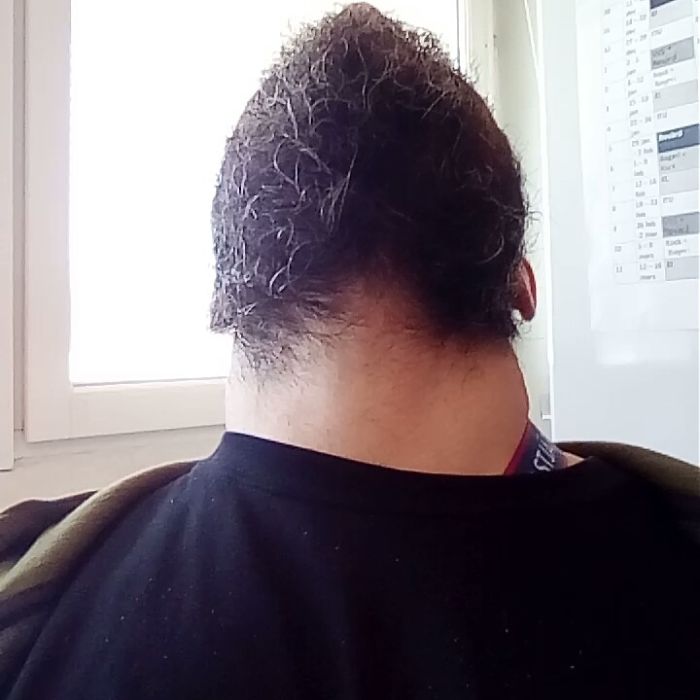 The Bold And The Bearded