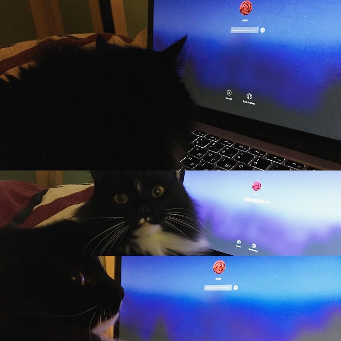 And That Is How My Computer Has Been Blocked...