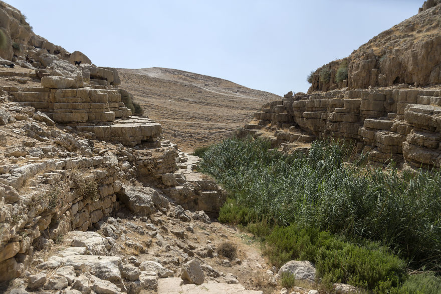 The Unique Desert Landscape