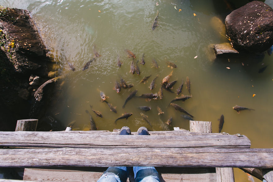 Hida Folk Village, Takayama