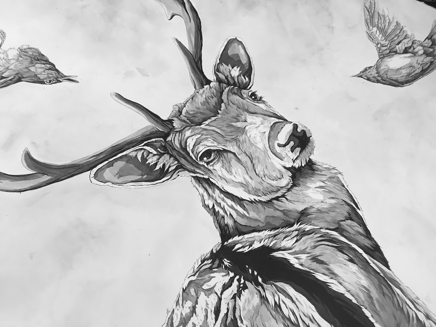 My Detailed Deer Illustration Took Me Two Weeks To Finish, And Here's The Result