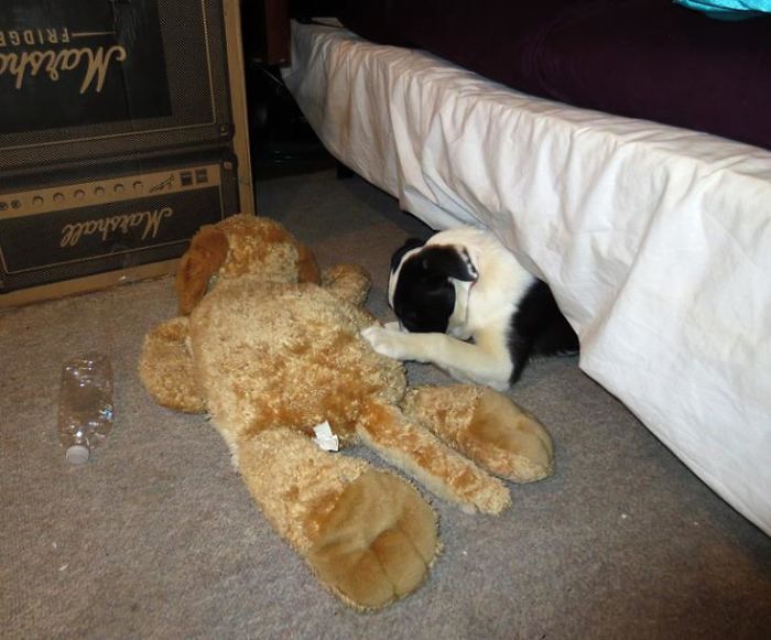 Layla Saying Her Bedtime Prayers