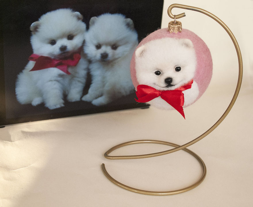 Live 3d Portraits Of Pets