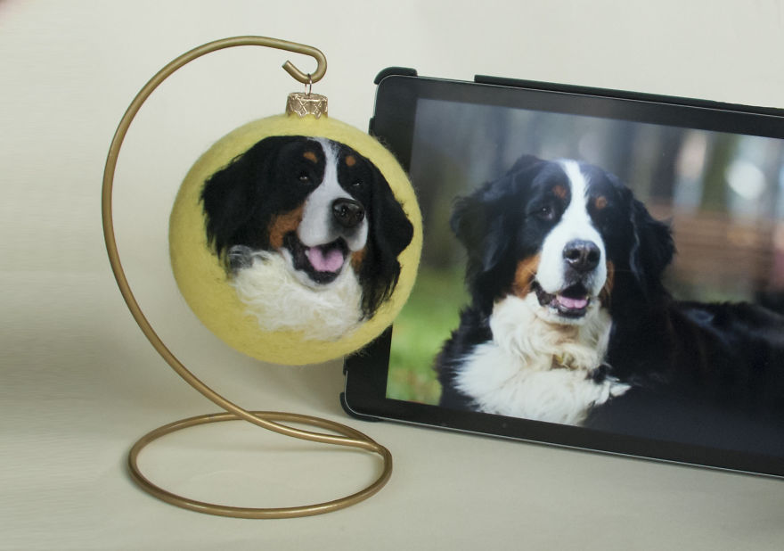 Live 3d Portraits Of Pets