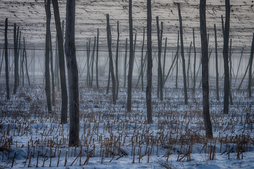 20+ Reasons To Visit Slovenia If You're A Photographer (In Pictures)