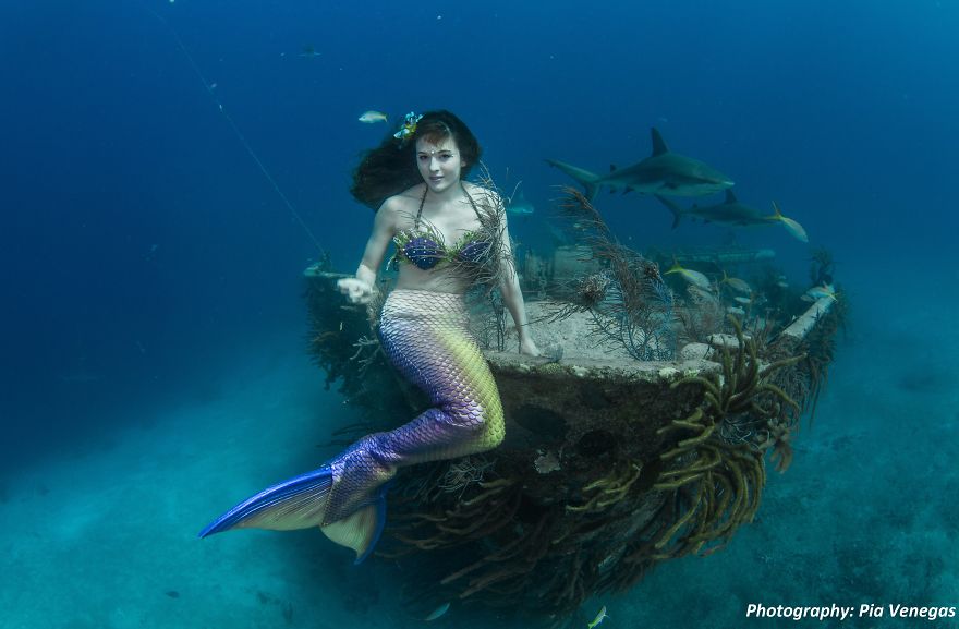 A Mermaid Swimming To Save Sharks A Mermaid Swimming To Save Sharks
