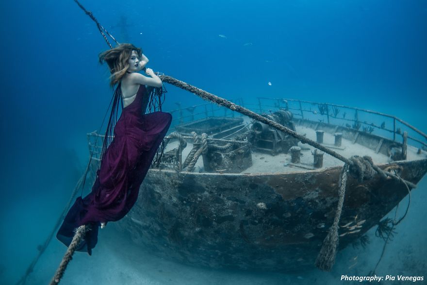 A Mermaid Swimming To Save Sharks A Mermaid Swimming To Save Sharks