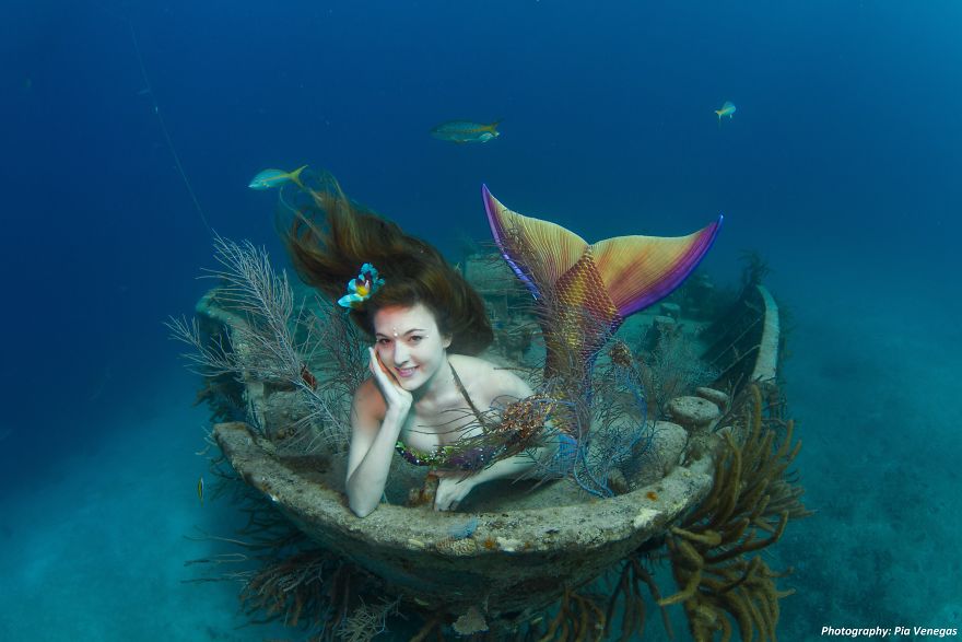 A Mermaid Swimming To Save Sharks A Mermaid Swimming To Save Sharks