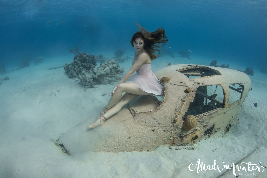 A Mermaid Swimming To Save Sharks A Mermaid Swimming To Save Sharks