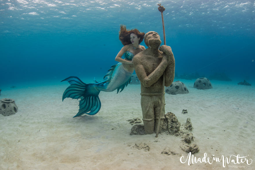 A Mermaid Swimming To Save Sharks A Mermaid Swimming To Save Sharks