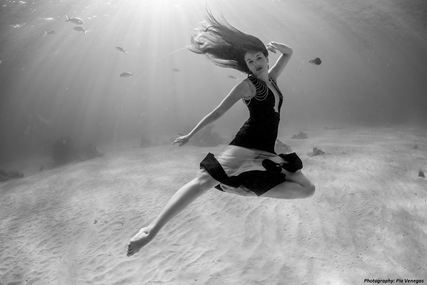 A Mermaid Swimming To Save Sharks A Mermaid Swimming To Save Sharks