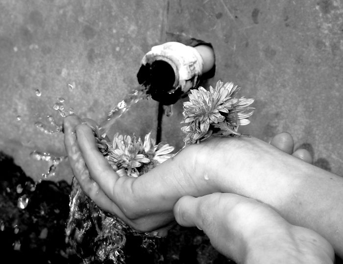 I Use My Smartphone To Take Black And White Photos