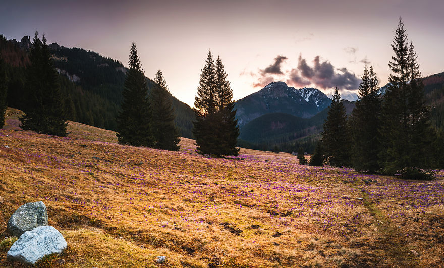 I Capture The Surreal Beauty Of Spring In Mountain Meadows In Poland