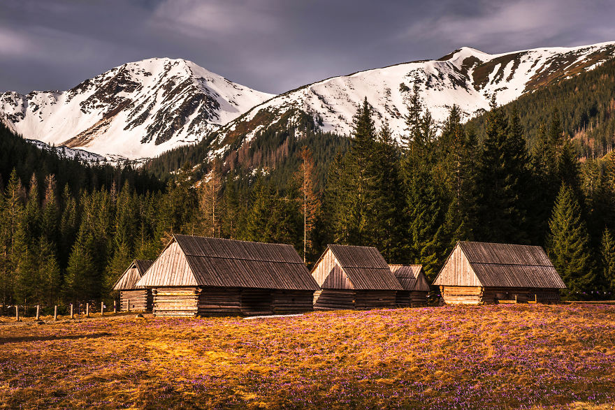 I Capture The Surreal Beauty Of Spring In Mountain Meadows In Poland I Capture The Surreal Beauty Of Spring In Mountain Meadows In Poland