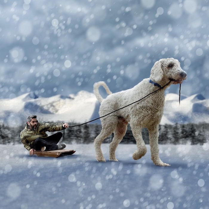 Photographer Makes Funny Montages With Photos Of His Giant Dog (New Pics)