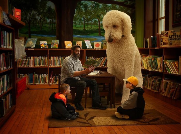 Photographer Makes Funny Montages With Photos Of His Giant Dog (New Pics)
