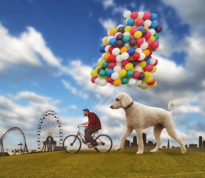 Photographer Makes Funny Montages With Photos Of His Giant Dog (New Pics)