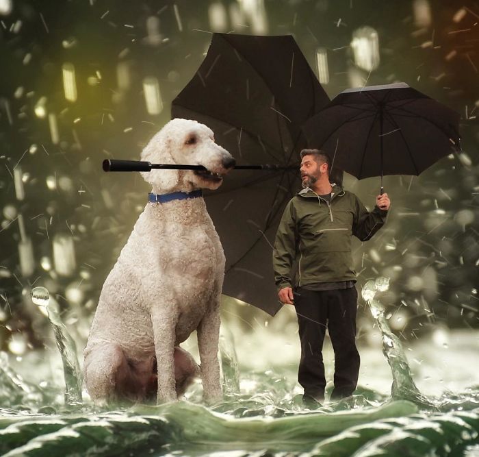 Photographer Makes Funny Montages With Photos Of His Giant Dog (New Pics)