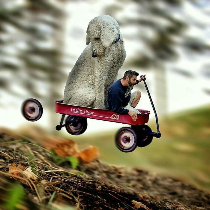 Photographer Makes Funny Montages With Photos Of His Giant Dog (New Pics)