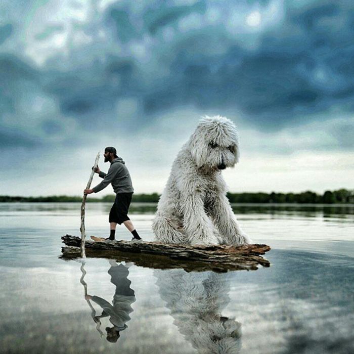 Photographer Makes Funny Montages With Photos Of His Giant Dog (New Pics)