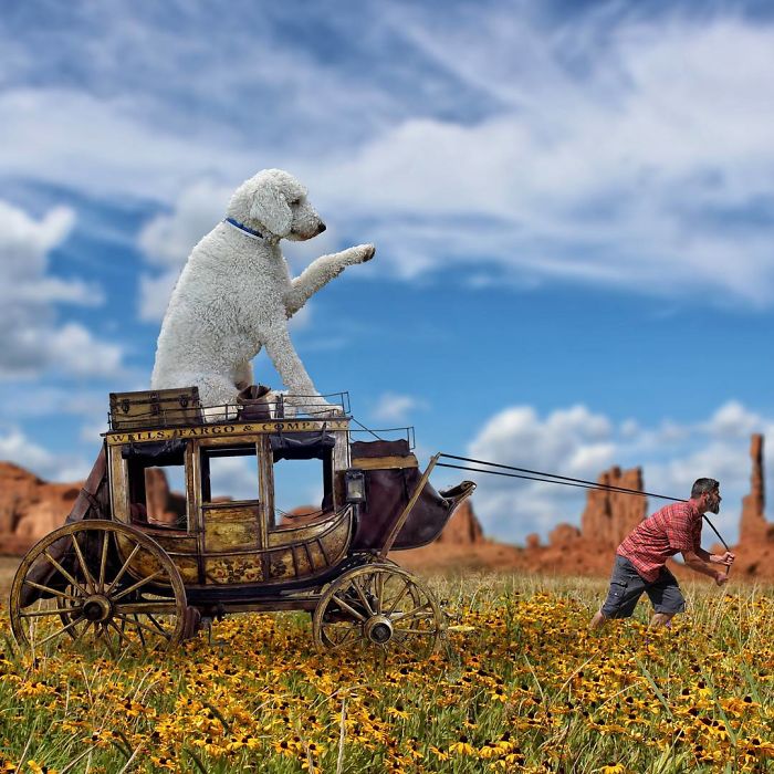 Photographer Makes Funny Montages With Photos Of His Giant Dog (New Pics)