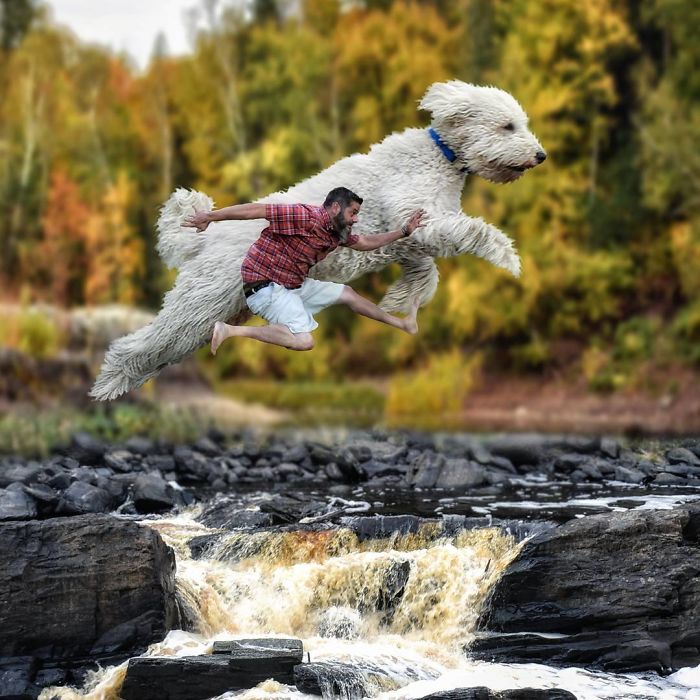 Photographer Makes Funny Montages With Photos Of His Giant Dog (New Pics)