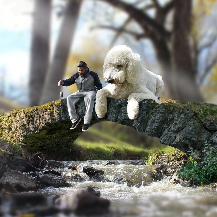 Photographer Makes Funny Montages With Photos Of His Giant Dog (New Pics)