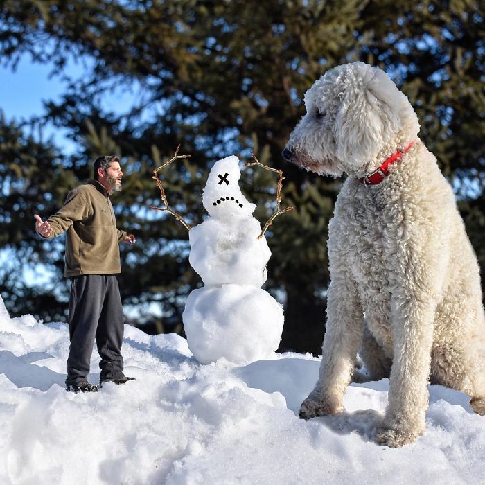Photographer Makes Funny Montages With Photos Of His Giant Dog (New Pics)