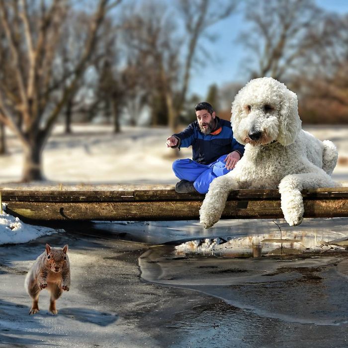 Photographer Makes Funny Montages With Photos Of His Giant Dog (New Pics)