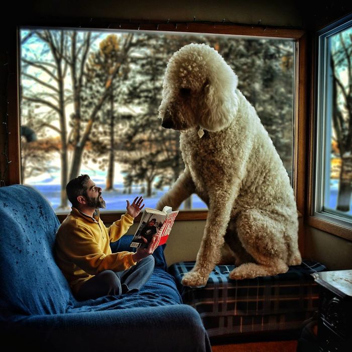 Photographer Makes Funny Montages With Photos Of His Giant Dog (New Pics)