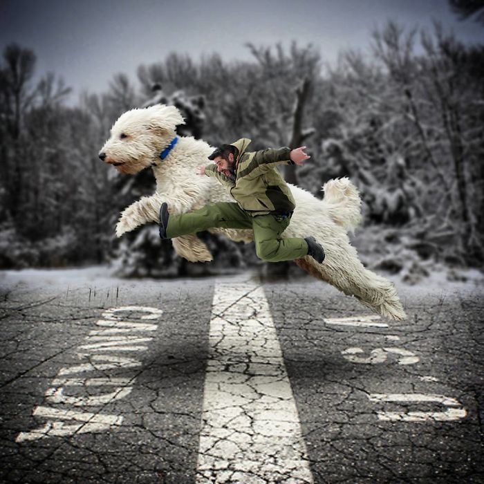 Photographer Makes Funny Montages With Photos Of His Giant Dog (New Pics)