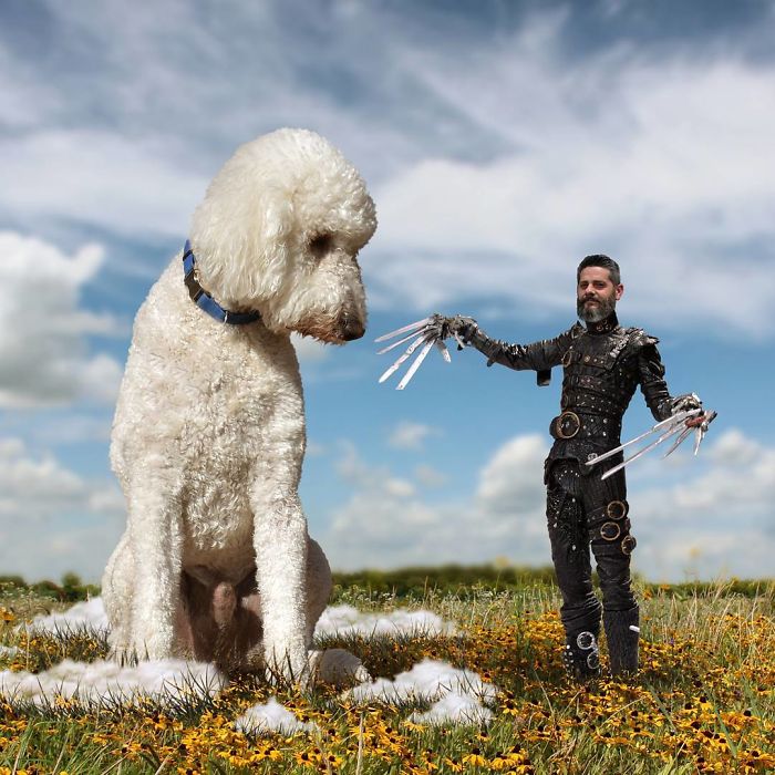 Photographer Makes Funny Montages With Photos Of His Giant Dog (New Pics)