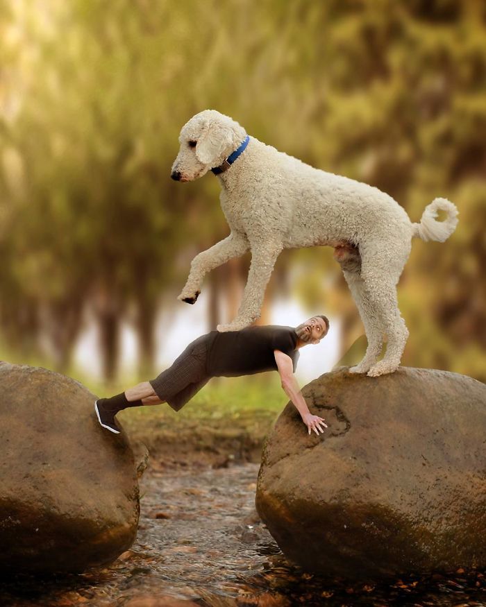 Photographer Makes Funny Montages With Photos Of His Giant Dog (New Pics)