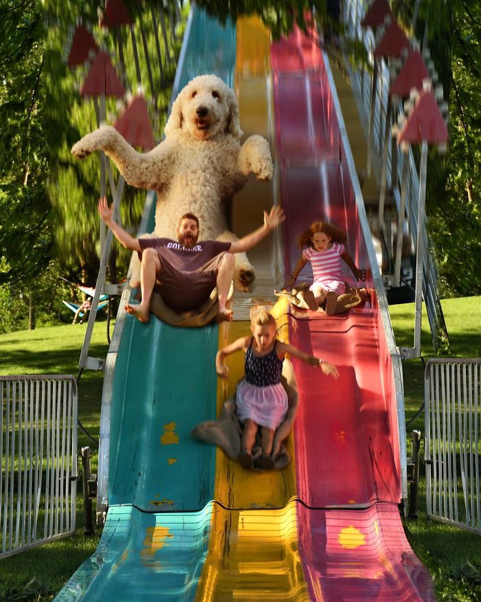 Photographer Makes Funny Montages With Photos Of His Giant Dog (New Pics)