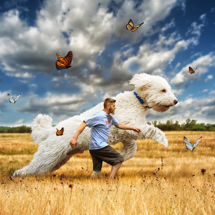 Photographer Makes Funny Montages With Photos Of His Giant Dog (New Pics)