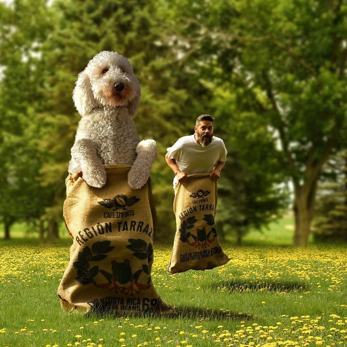 Photographer Makes Funny Montages With Photos Of His Giant Dog (New Pics)