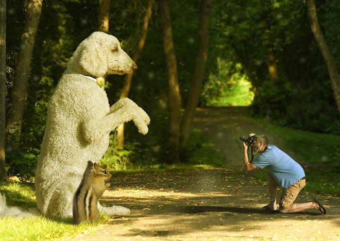 Photographer Makes Funny Montages With Photos Of His Giant Dog (New Pics)