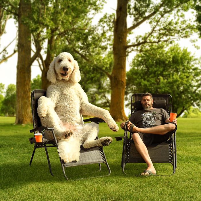 Photographer Makes Funny Montages With Photos Of His Giant Dog (New Pics)