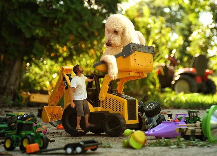 Photographer Makes Funny Montages With Photos Of His Giant Dog (New Pics)