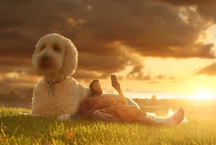 Photographer Makes Funny Montages With Photos Of His Giant Dog (New Pics)