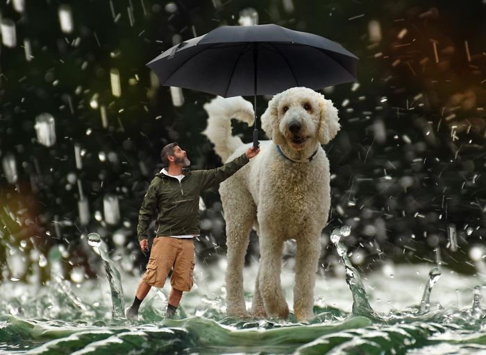 Photographer Makes Funny Montages With Photos Of His Giant Dog (New Pics)