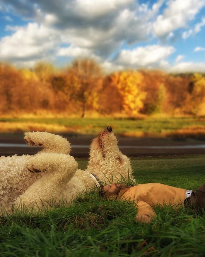 Photographer Makes Funny Montages With Photos Of His Giant Dog (New Pics)