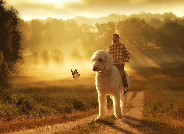 Photographer Makes Funny Montages With Photos Of His Giant Dog (New Pics)