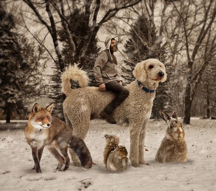 Photographer Makes Funny Montages With Photos Of His Giant Dog (New Pics)