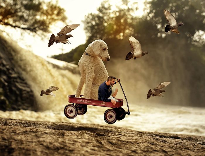 Photographer Makes Funny Montages With Photos Of His Giant Dog (New Pics)