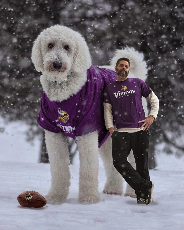 Photographer Makes Funny Montages With Photos Of His Giant Dog (New Pics)